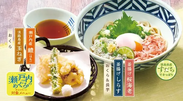 釜揚げしらすと桜海老のすだちうどん(夏天セット)(夢庵)